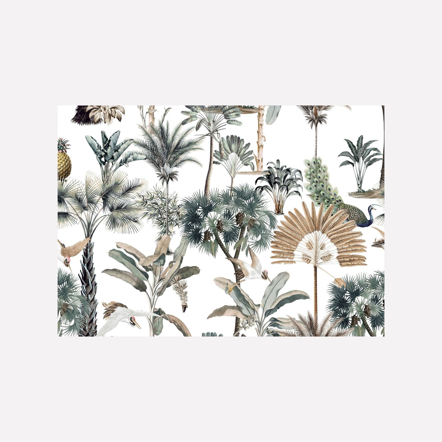 Disposable Paper Placemat Exotic Zanana Light