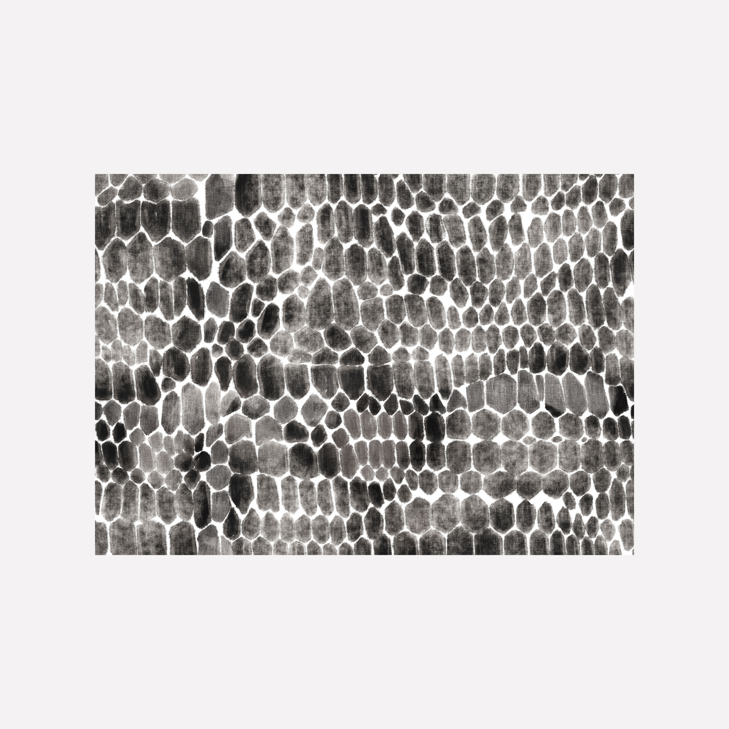 Disposable Paper Placemat Wildside Snake