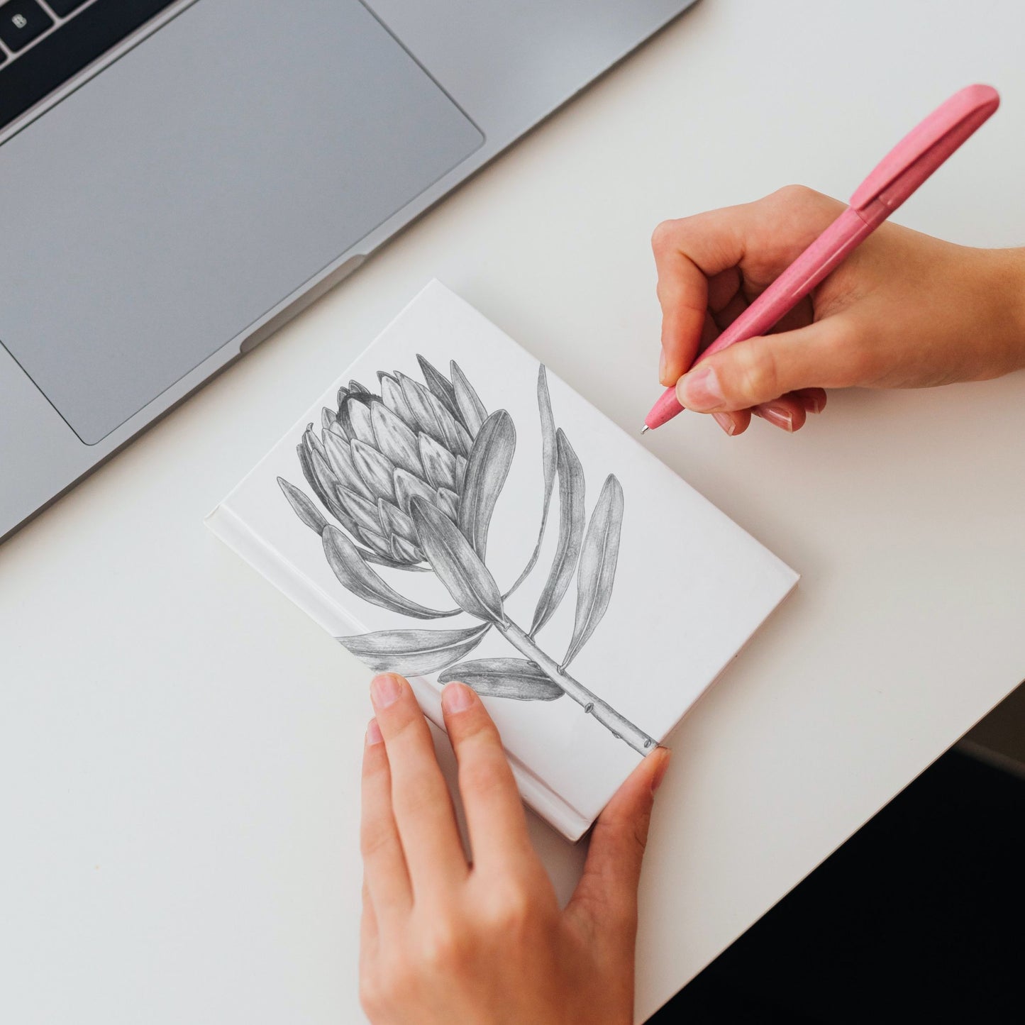 Shoreline Soft Cover A6 Notebook Protea Sketch