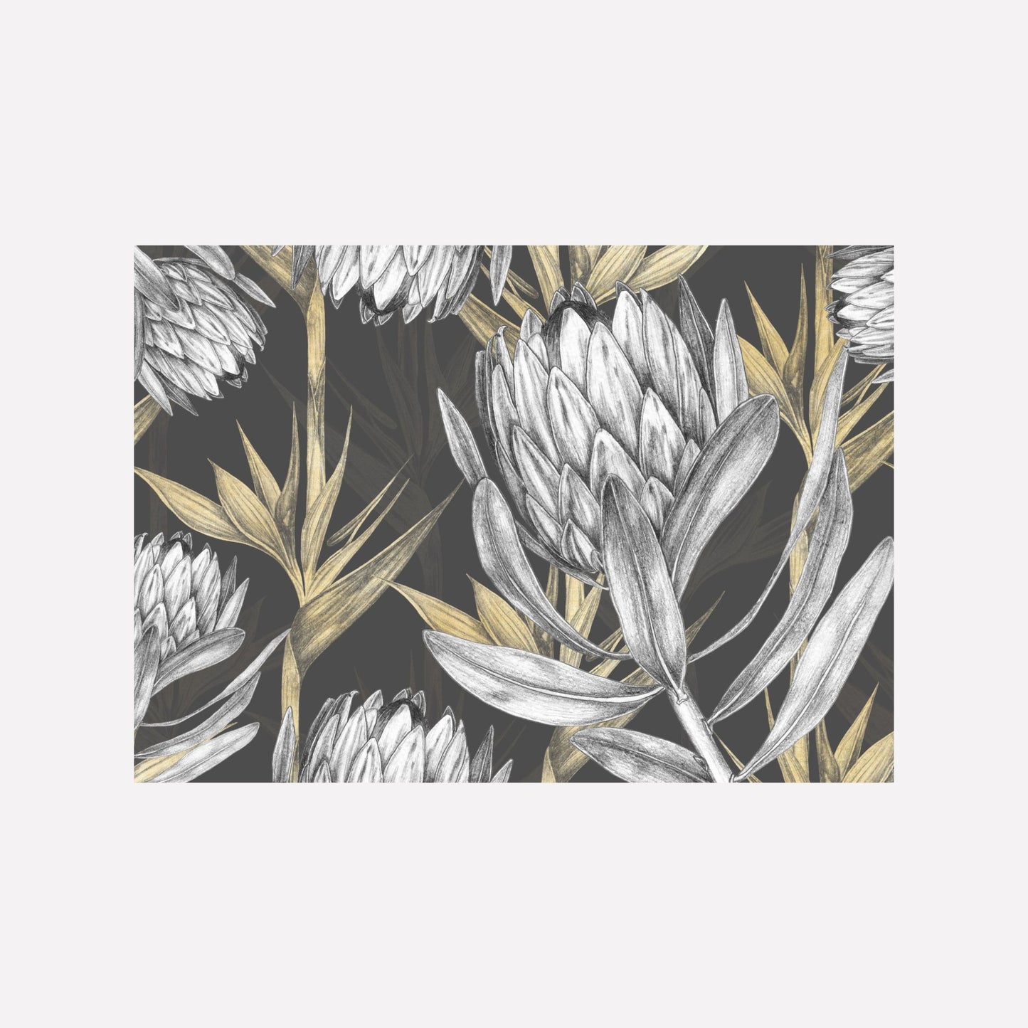 Disposable Paper Placemat Vintage Protea Dark