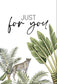 Shoreline Set 6 Gift Tags Acanthus